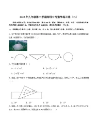 广东省深圳市2025届九年级下学期中考数学（二）试卷（含答案）