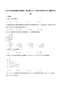 河南省漯河市临颍县三家店镇二中、实验中学联考2025届九年级下学期中考三模数学试卷（含解析）