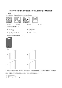 青岛市即墨区第二中学2025届九年级下学期中考二模数学试卷（含解析）