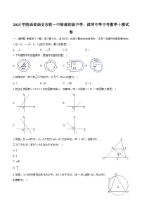 陕西省西安市铁一中陆港初级中学、滨河中学2025届九年级下学期中考十模数学试卷（含解析）