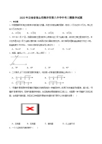 腾冲市第八中学2025届九年级下学期中考三模数学试卷（含解析）