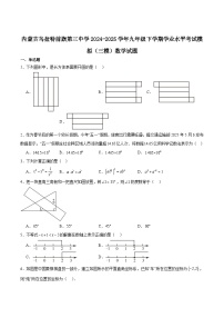 乌拉特前旗第三中学2025届九年级下学期学业水平考试模拟（三模）数学试卷（含解析）