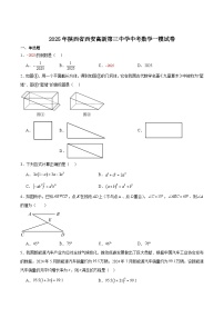 西安高新第三中学2025届九年级下学期中考一模数学试卷（含解析）