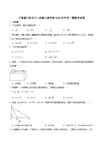 银川三沙源上游学校2025届九年级下学期中考一模数学试卷（含解析）