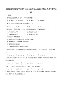 安徽省池州市2025-2026学年八年级上学期11月期中考试 数学试卷