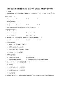 湖北省武汉市东湖高新区2025-2026学年七年级上学期期中考试 数学试卷