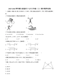 浙江省温州十七中2025-2026学年八年级上学期期中 数学试卷
