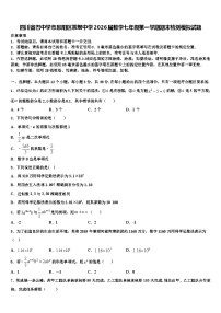 四川省巴中学市恩阳区茶坝中学2026届数学七年级第一学期期末检测模拟试题含解析