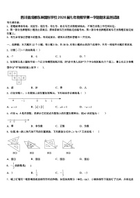 四川省成都东辰国际学校2026届七年级数学第一学期期末监测试题含解析