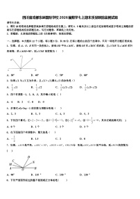 四川省成都东辰国际学校2026届数学七上期末质量跟踪监视试题含解析