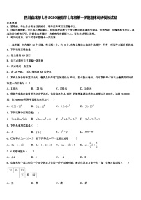 四川省成都七中2026届数学七年级第一学期期末调研模拟试题含解析