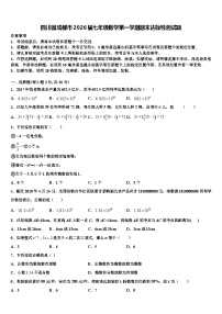 四川省成都市2026届七年级数学第一学期期末达标检测试题含解析