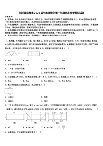 四川省成都市2026届七年级数学第一学期期末统考模拟试题含解析