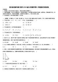 四川省成都市都江堰市2026届七年级数学第一学期期末预测试题含解析 (2)