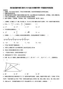 四川省成都市都江堰市2026届七年级数学第一学期期末预测试题含解析