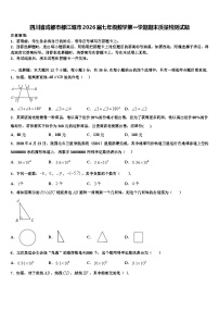 四川省成都市都江堰市2026届七年级数学第一学期期末质量检测试题含解析