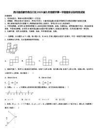 四川省成都市青白江区2026届七年级数学第一学期期末达标检测试题含解析
