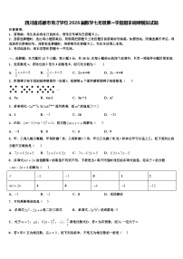四川省成都市育才学校2026届数学七年级第一学期期末调研模拟试题含解析