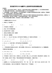 四川省巴中市2026届数学七上期末教学质量检测模拟试题含解析
