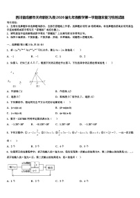 四川省成都市天府新区九级2026届七年级数学第一学期期末复习检测试题含解析