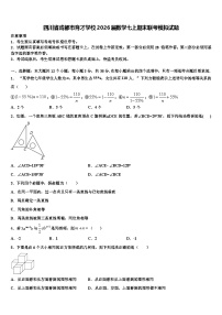 四川省成都市育才学校2026届数学七上期末联考模拟试题含解析