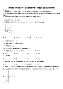 四川省巴中市名校2026届七年级数学第一学期期末综合测试模拟试题含解析