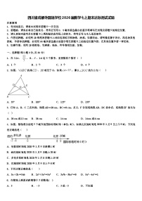 四川省成都外国语学校2026届数学七上期末达标测试试题含解析