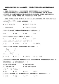 四川绵阳富乐园际学校2026届数学七年级第一学期期末学业水平测试模拟试题含解析