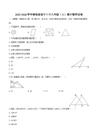 2025-2026学年青海省西宁十中八年级（上）期中数学试卷-自定义类型