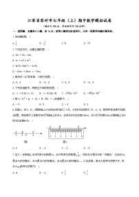 江苏省苏州市2025-2026学年苏科版七年级上册期中数学模拟试卷