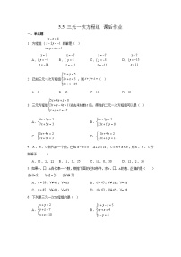 初中数学*5 三元一次方程组精练