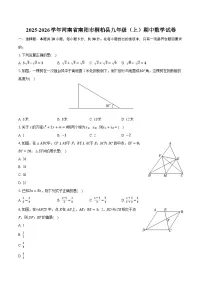 2025-2026学年河南省南阳市桐柏县九年级（上）期中数学试卷（含答案+解析）
