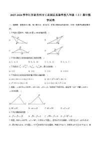 2025-2026学年江苏省苏州市工业园区星港学校八年级（上）期中数学试卷（含答案+解析）