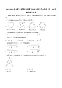 2025-2026学年浙江省绍兴市诸暨市实验初级中学八年级（上）11月期中数学试卷（含答案+解析）