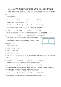 2025-2026学年四川省广元市青川县九年级（上）期中数学试卷-自定义类型