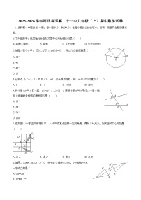 2025-2026学年河北省邯郸二十三中九年级（上）期中数学试卷-自定义类型