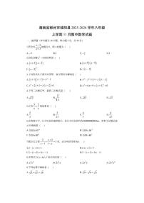 湖南省郴州市桂阳县2025-2026学年八年级上学期11月期中数学试卷（学生版）