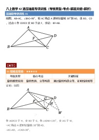 2025-2026学年人教版数学八年级上册期末压轴题专项训练