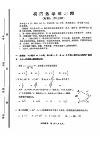 山东省淄博市桓台县2024-2025学年九年级上学期1月期末数学试题