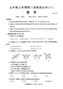 河南省安阳市林州市2025-2026学年上学期九年级第三次阶段自评(A) 数学（12月联考） 试题
