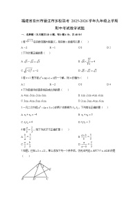 福建省泉州市晋江市多校联考2025-2026学年九年级上学期期中考试数学试卷（学生版）