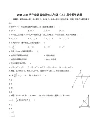 2025-2026学年山西省临汾市九年级（上）期中数学试卷-自定义类型