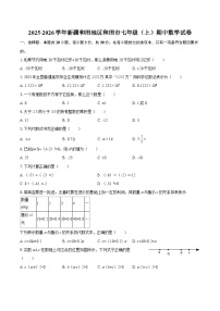 2025-2026学年新疆和田地区和田市七年级（上）期中数学试卷-自定义类型