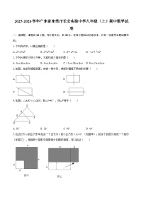 2025-2026学年广东省东莞市长安实验中学八年级（上）期中数学试卷-自定义类型