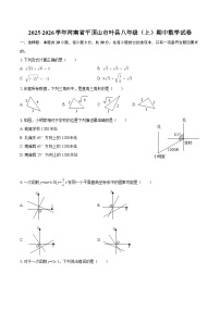 2025-2026学年河南省平顶山市叶县八年级（上）期中数学试卷-自定义类型