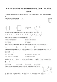 2025-2026学年陕西省西安市西咸新区秦汉中学九年级（上）期中数学试卷-自定义类型