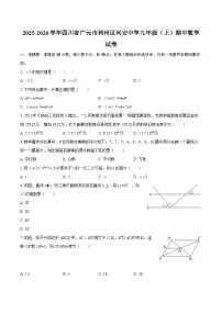 2025-2026学年四川省广元市利州区兴安中学九年级（上）期中数学试卷-自定义类型