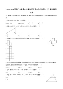 2025-2026学年广东省佛山市南海区石肯中学九年级（上）期中数学试卷-自定义类型
