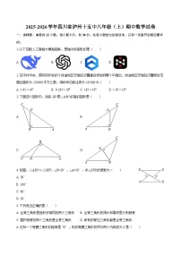 2025-2026学年四川省泸州十五中八年级（上）期中数学试卷-自定义类型