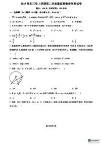 福建省泉州市2024-2025学年上学期 九年级12月月考数学试题